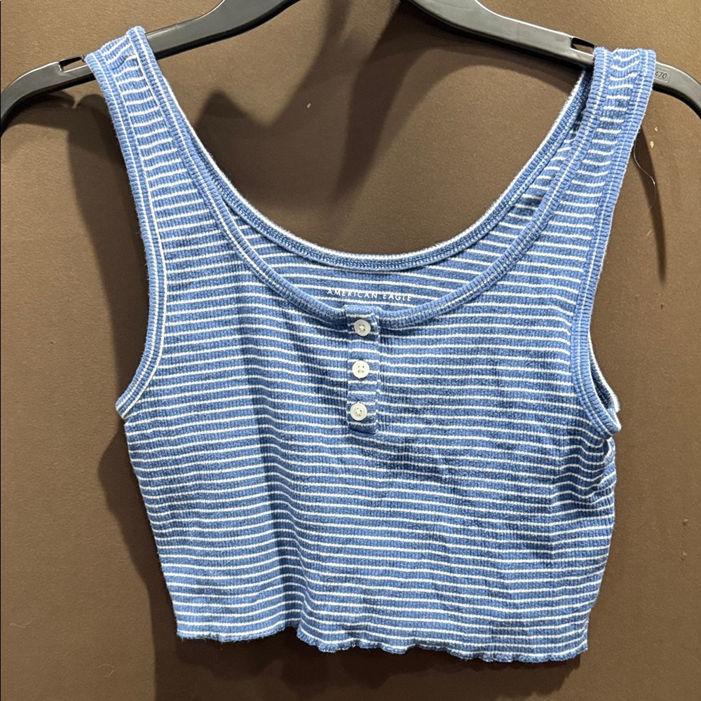 American Eagle Outfitters Blue and White Striped Crop Top